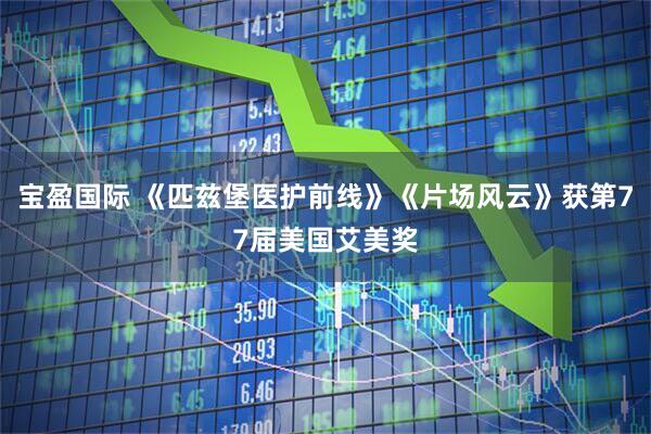 宝盈国际 《匹兹堡医护前线》《片场风云》获第77届美国艾美奖