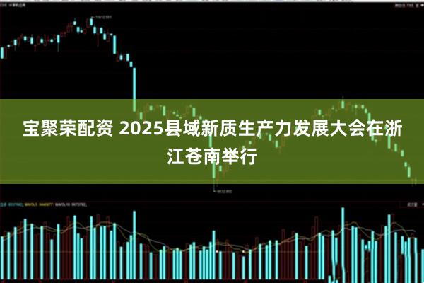 宝聚荣配资 2025县域新质生产力发展大会在浙江苍南举行