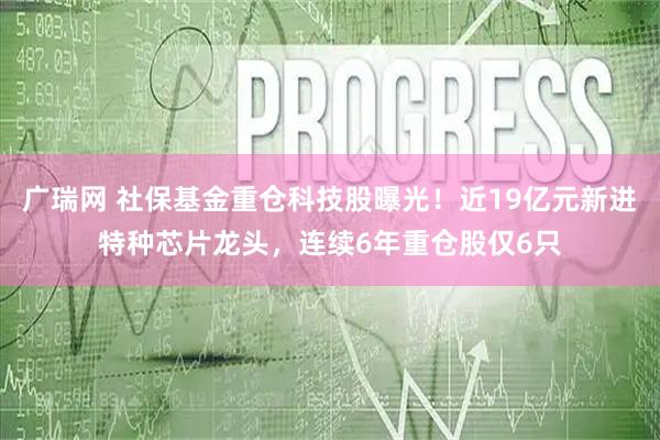 广瑞网 社保基金重仓科技股曝光！近19亿元新进特种芯片龙头，连续6年重仓股仅6只