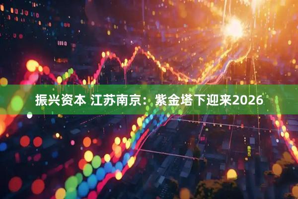 振兴资本 江苏南京：紫金塔下迎来2026
