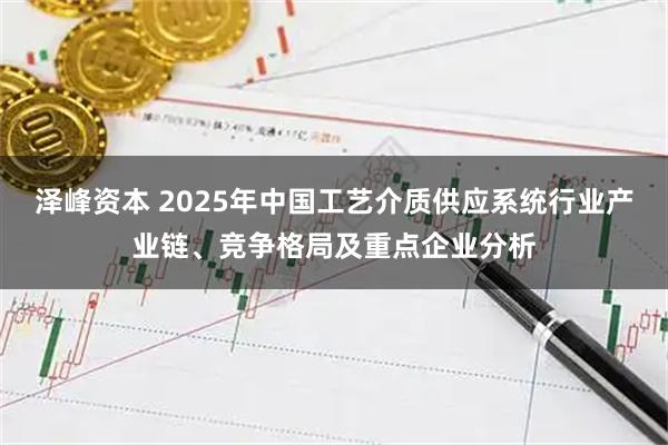 泽峰资本 2025年中国工艺介质供应系统行业产业链、竞争格局及重点企业分析